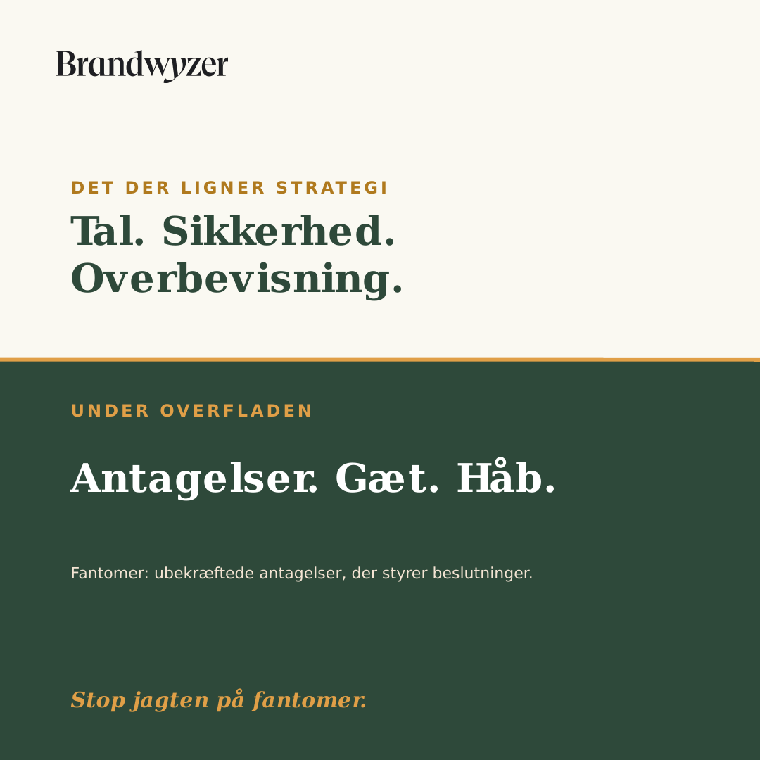 Hvad er et fantom i strategi?